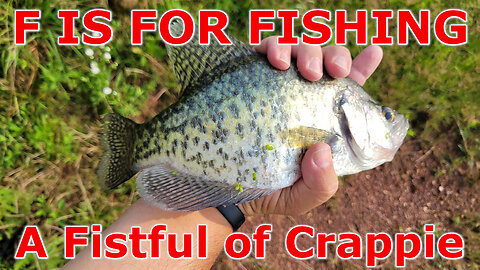 A Fistful of Crappie