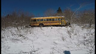 JunkYard In The Woods