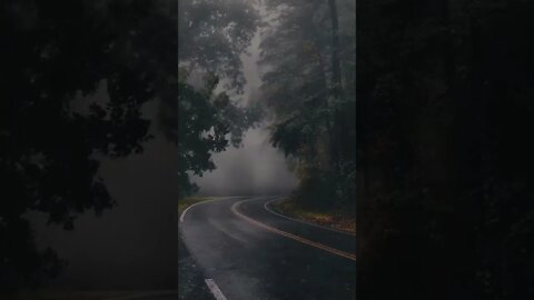 Rain sounds #nature #natureshorts 🎥 lovethenature95