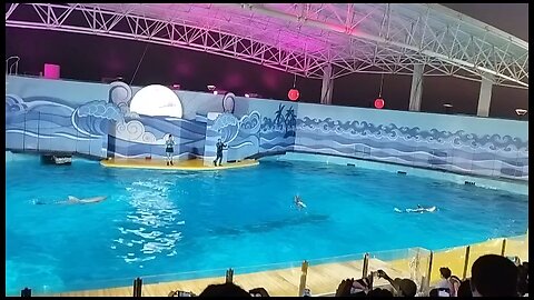 Dolphin Show Jeddah