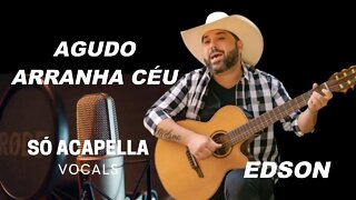 Edson - Galopeira ,Chora Peito ACapella