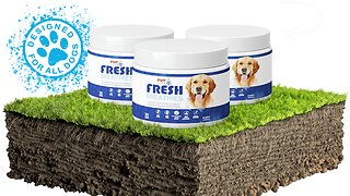 Fresh Dog Breath | Only the Best for Your Bestie!