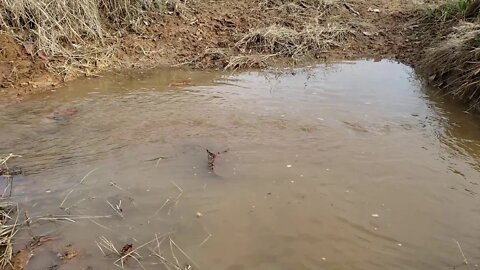 12-08-19 Flooding the duck impoundment! PART 1. It did NOT go as planned...