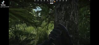 Tarkov