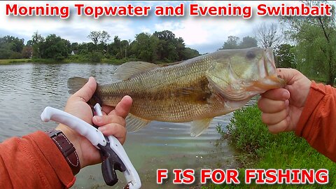 Morning Topwater and Evening Swimbait