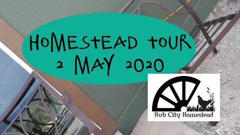 Homestead Tour Ep. 1 5 May 2020