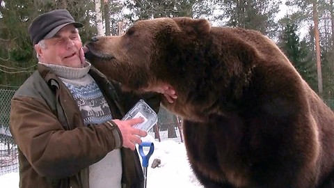 Bear Man Of Finland Has An Unbreakable Bond With Brown Bears