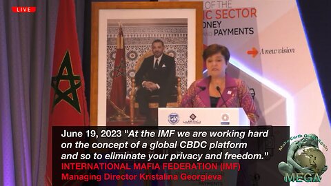 "At the IMF we are working hard on the concept of a global CBDC platform and so to eliminate your privacy and freedom” ~ International MAFIA FEDERATION (IMF) Managing Director Kristalina Georgieva