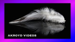 A PERFECT CIRCLE - FEATHERS - BY AKROYD VIDEOS
