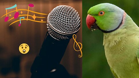 The parrot sings a song that people are surprised to see