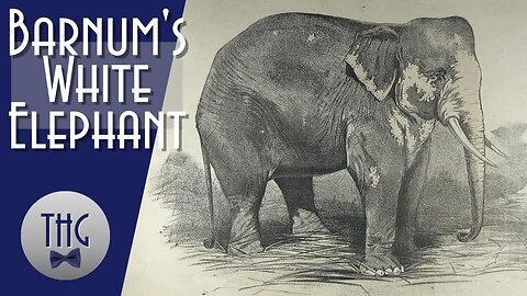 P.T. Barnum's White Elephant and Forgotten History