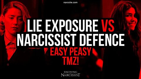 Amber Heard : Lie Exposure Vs Narcissist Defence :Easy Peasy TMZ