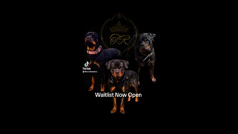 Texas Rottweilers