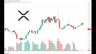 XRP influencer Exodus