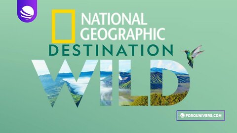 Ahora National Geographic es más Wild