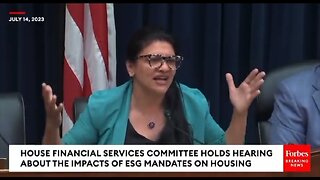 Rashida Tlaib Pretending She’s Never Heard of ESG - HaloRockNews
