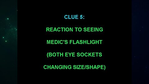 Clue 5 (The "Alien Interview" Video Analysis 2013/2014/2015)