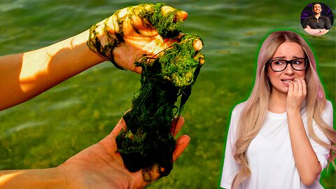 EAT THE SEA GRASS! Algae is a Misunderstood SUPERFOOD Loaded With ESSENTIAL Vitamins and Minerals!