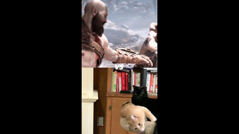 Kratos VS My Cat