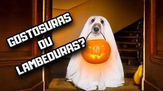 Halloween: quantos doces você pode dar para o seu Cachorro? | Dr. Edgard Gomes | Alimentação natural