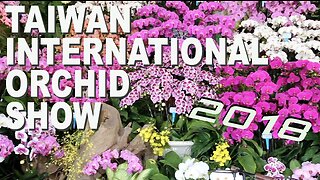 2018臺灣國際蘭展 Taiwan International Orchid Show 2018