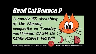 Dead Cat Bounce ?