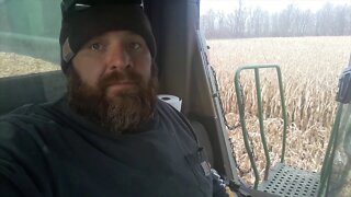 Trying to finish the corn harvest
