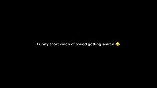 I show speed getting scared 😂