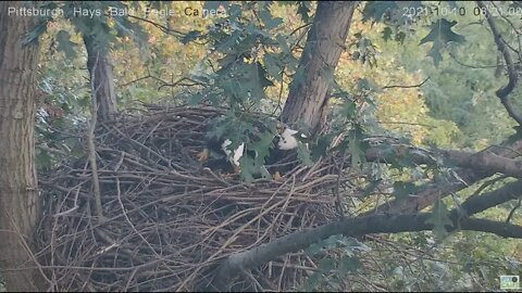 Hays Eagles Mom and Dad stick wars 2021 10 10 820AM