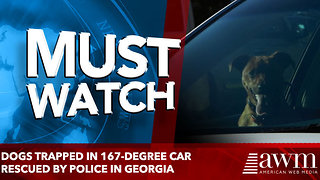 Dogs trapped in 167-degree car rescued by police in Georgia