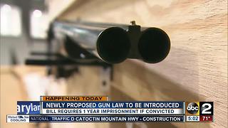 New gun law to be introduced requiring 1 year sentence for illegal handguns