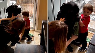 Toddler Helps Dry Off Wet Doggy