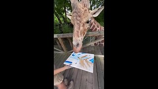 Giraffe Paints Artwork In Honor Of NBA Draft
