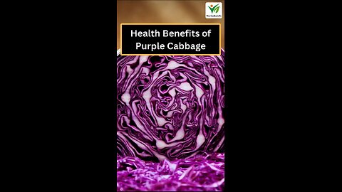 Health Benefits of Purple Cabbage