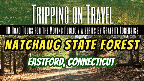Tripping on Travel: Natchaug State Forest, Eastford, CT