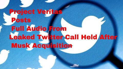 Project Veritas Posts Full Audio From Leaked Twitter Call Held After Musk Acquisition
