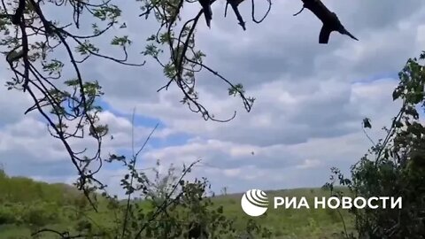 2S5 "Hyacinth-S" With Precise Strikes Smashes Ukrainian Positions Near The Frontline In The LPR