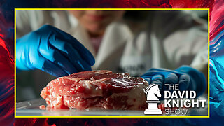 Prohibition of Lab Meat: Violation of Free Market or Resistance to Multinational Technocracy?