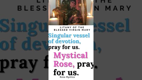 Mystical Rose, pray for us #shorts