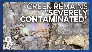 Gov. DeWine comments on East Palestine waterway contamination