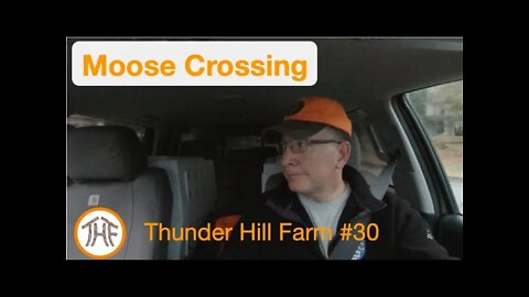 Thunder Hill Farm #30 - Moose Crossing