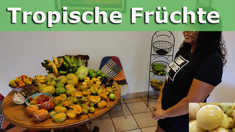 (117) Besuch einer Finca | Tropische Früchte auf dem Küchentisch | Cas, Brotfrucht, Gujava, Malanga