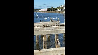 Cedar Key Florida