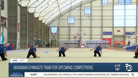 Ukrainian gymnasts train for upcoming competitions