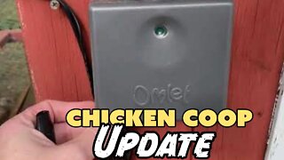 Update On The Chicken Coop