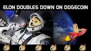 Elon Doubles Down on Dogecoin Tesla 2 Accept DOGE? Most Popular in India Mavericks & Taco Bell Agree