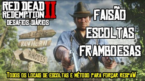 RED DEAD REDEMPTION 2 DESAFIOS DIÁRIOS FAISÃO, ESCOLTAS E FRAMBOESA