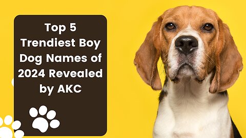 🐾 Top 5 Trendiest Boy Dog Names of 2024 Revealed by AKC! 🐶