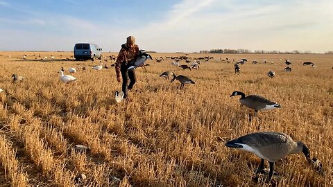 Two-Person DUCK LIMIT: Western Manitoba, Canada. We Shot 9 Birds In 1 Volley!