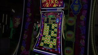 $240 Bet!! Huge Jackpot on Prosperity Link #casino #slots #gambling